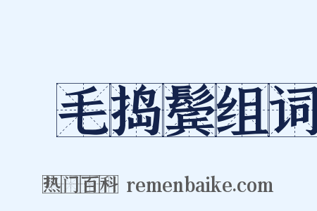 挦毛捣鬓组词是什么意思的图片